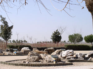 Jardín de rocas (Parque Polvoranca)