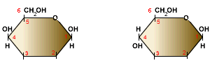 lactosa.gif