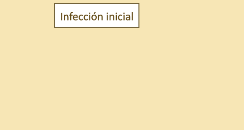 inmunidad adquirida.gif