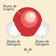 Aguamolb.gif