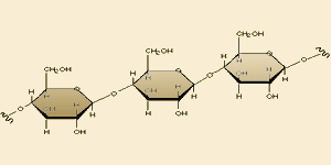 celulosa.gif