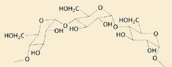 glu_glucoge.gif