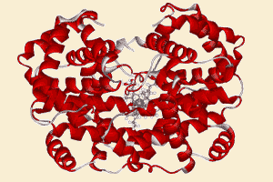hemoglobina.gif