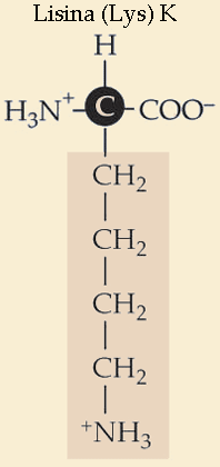 lispolarcargabasico.gif