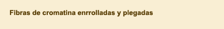 cmd1.gif