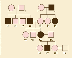 arbol-1.gif