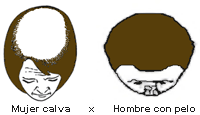 calvo.gif