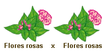 florr_r.gif