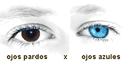 ojos.gif