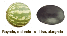 sandia.gif