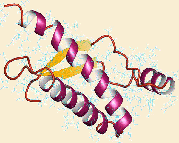 prion1.gif