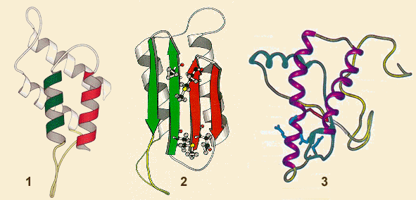 prion_ymini.gif