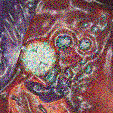 i2.gif